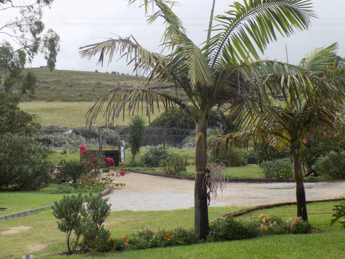 Haka Hana B&B Port Elizabeth Exterior foto